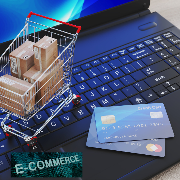 Ecommerce Portfolio